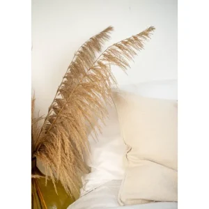 Reapris Venture Home Poster Bohemian 70x100 cm Beige - Inredning