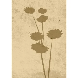 Populärt val Venture Home Poster Flower art 70x100 cm Beige - Inredning