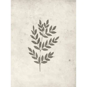 Begränsad tid Venture Home Poster Spring leaf 30x40 cm Beige - Inredning