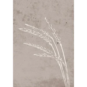Venture Home Poster Seeds 21x30 cm Beige - Inredning Trygg betalning