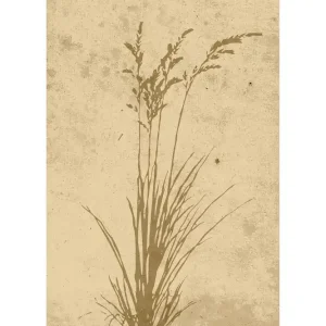Venture Home Poster Plant art 50x70 cm Beige - Inredning Kundfavorit