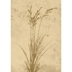 Venture Home Poster Plant art 70x100 cm Beige - Inredning Sista chansen