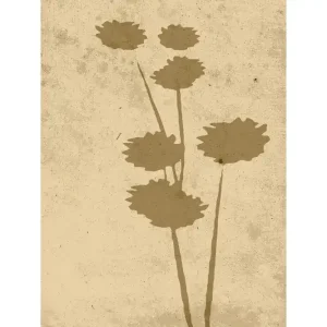 Fynd Venture Home Poster Flower art 30x40 cm Beige - Inredning