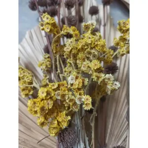 Trygg betalning Venture Home Poster Bouquet 30x40 cm Grön/Gul - Inredning