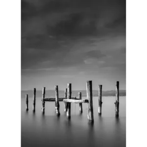 Venture Home Poster Ocean 50x70 cm Svart/Vit - Inredning Rabatt